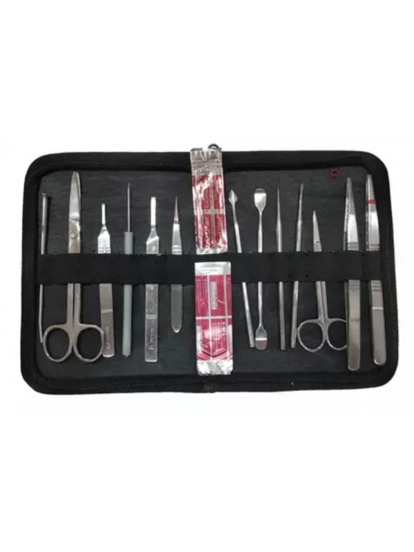 Bone Set For Medical Students (BiLateral) Anatomy Shop